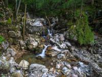 Wilde Natur im mittleren Bachabschnitt